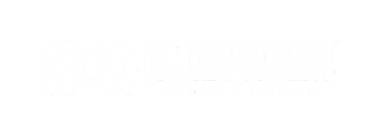romancini - logo sem fundo